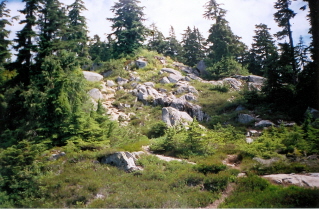 Area around St Marks Summit, Howe Sound Crest Trail 2003-08.